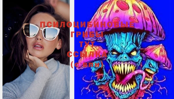 ECSTASY Балахна