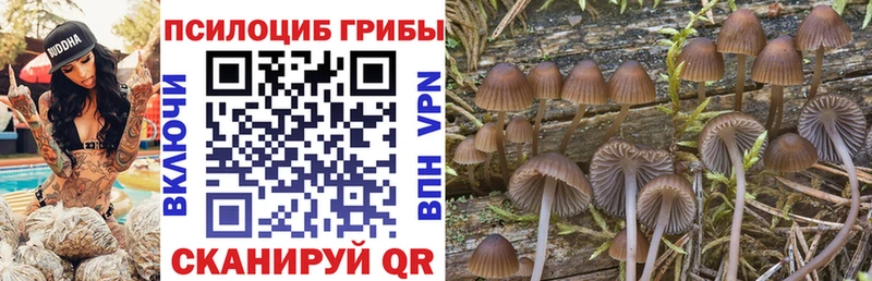Купить закладки  Бикин  Галлюциногенные грибы Cubensis 